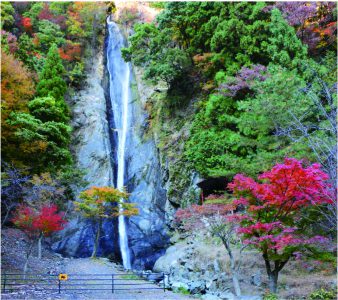 87 見神の滝をみて 郷愁に浸る 豊かさアーカイブ 奥山冥利 早川フィールドミュージアム