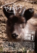 38／早川の動物図鑑１